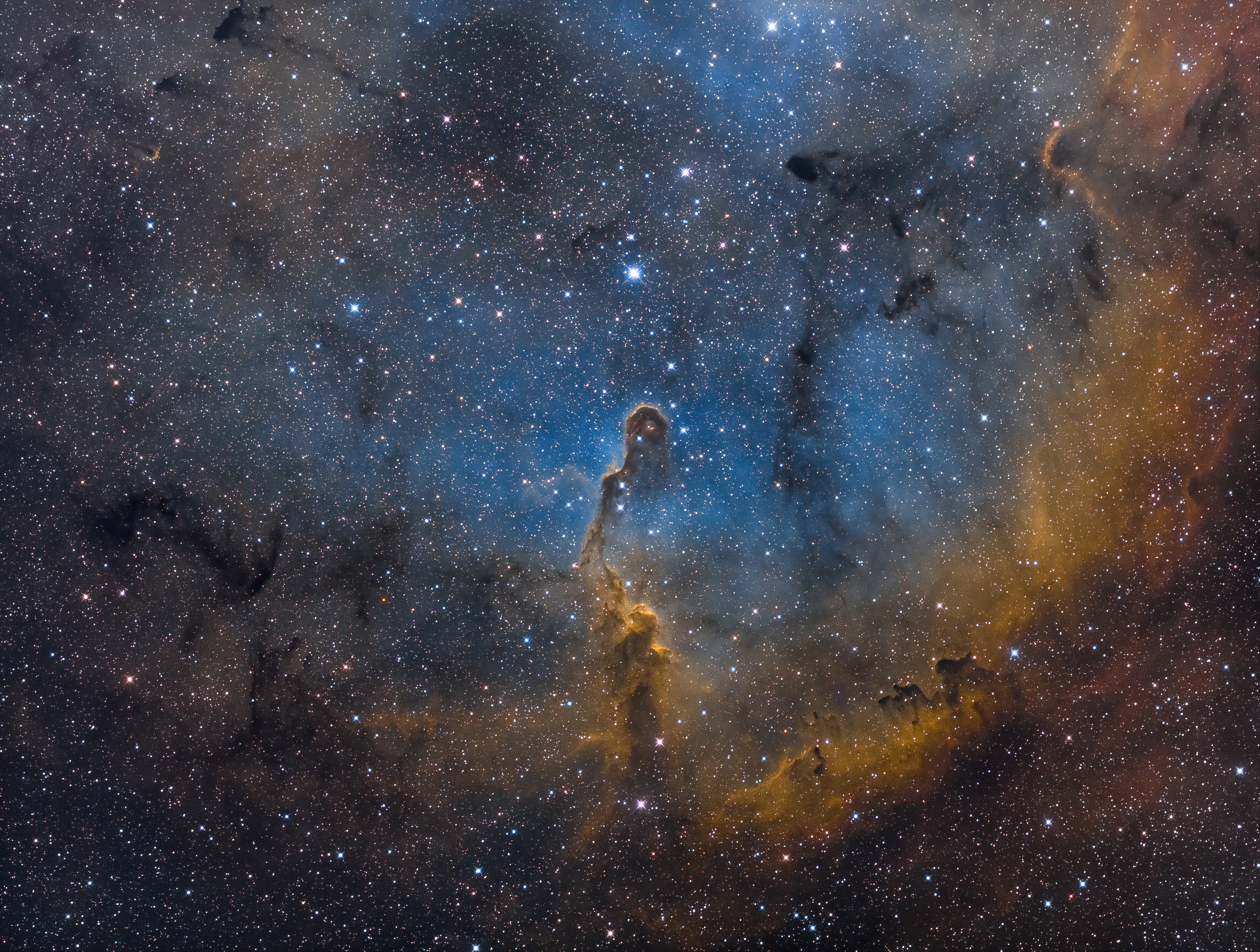 2019 06 01 IC1396A SHO DNAI Final